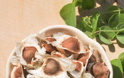 Масло от моринга (Moringa oleifera) Масло от моринга (Moringa oleifera)